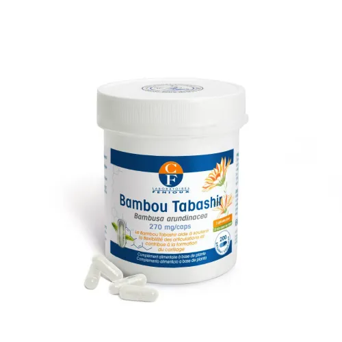 Bambou Tabashir