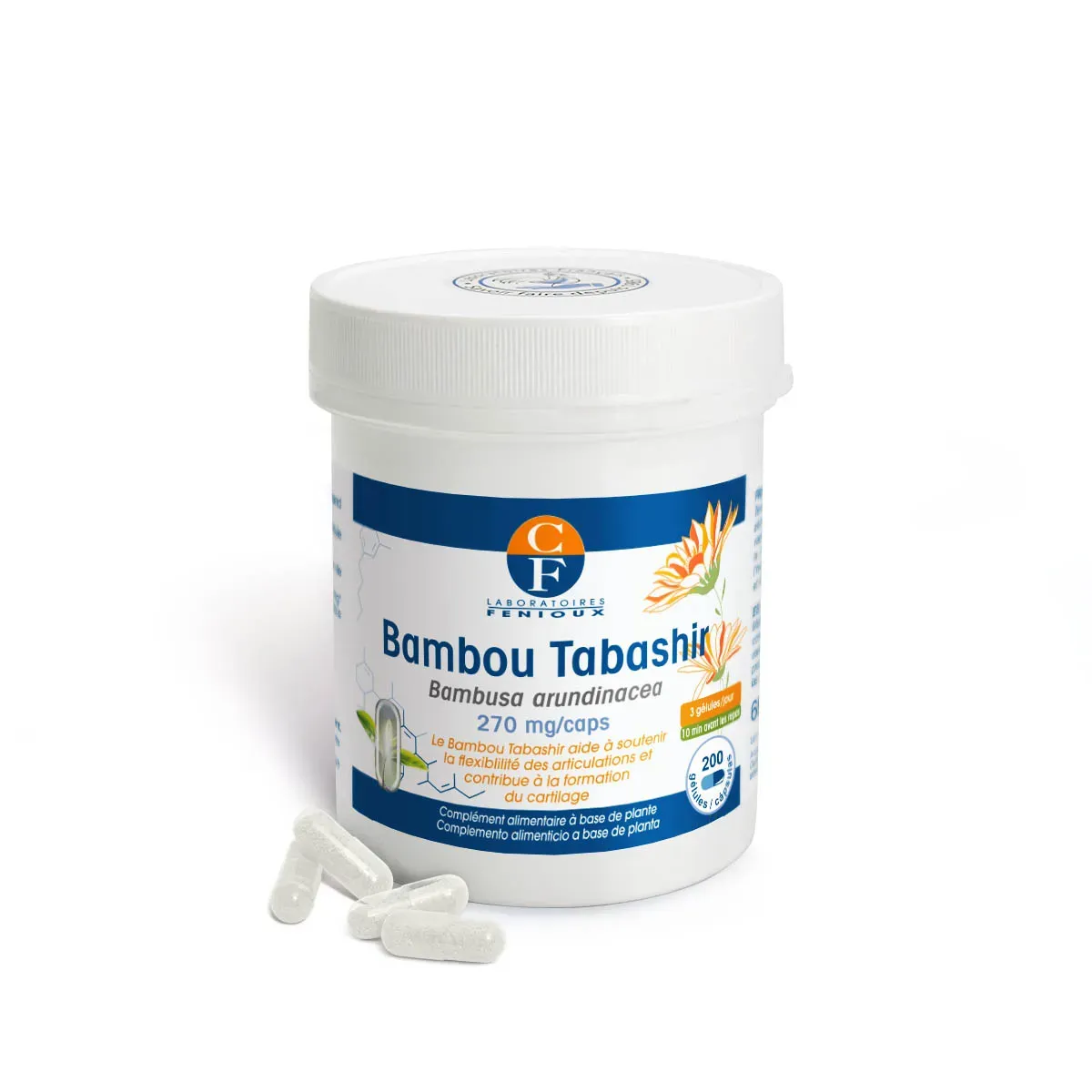 Bambou Tabashir - Silice - Reminéralisation Bambou Tabashir - Silice - Reminéralisation
