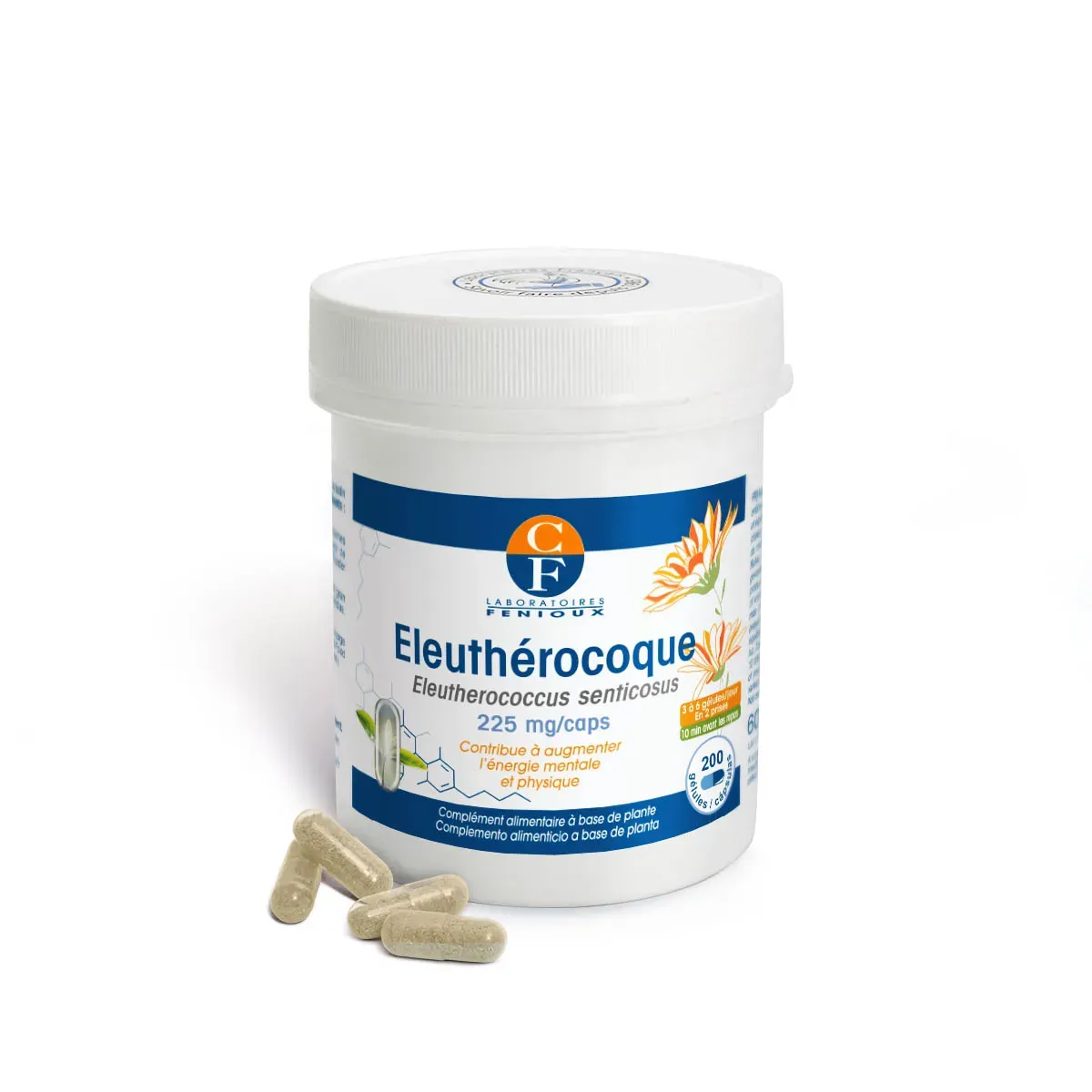 Eleutherocoque (Eleutherococcus senticosus) - Energie Eleutherocoque (Eleutherococcus senticosus) - Energie