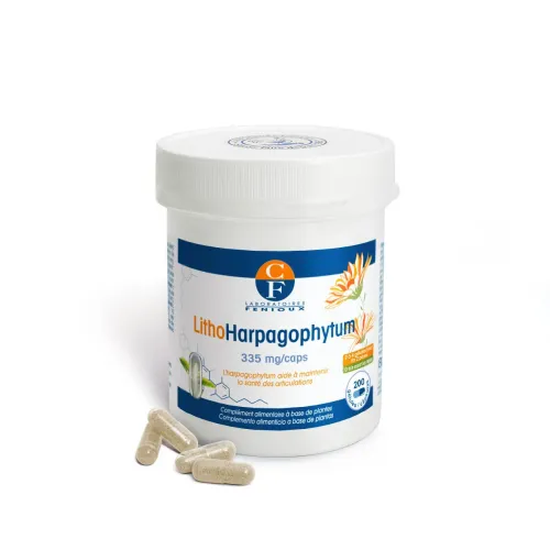 LithoHarpagophytum (Harpagophytum procumbens) - Articulations
