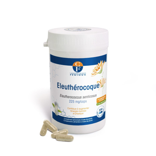 Eleutherocoque (Eleutherococcus senticosus) - Energie
